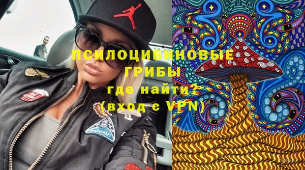 спайс Алексеевка