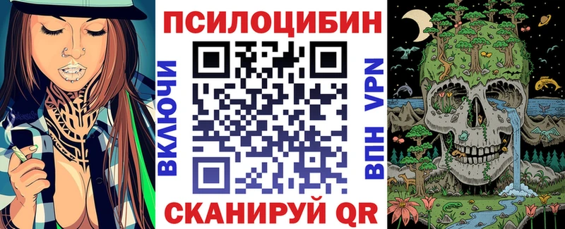 Галлюциногенные грибы Psilocybine cubensis  Алушта 