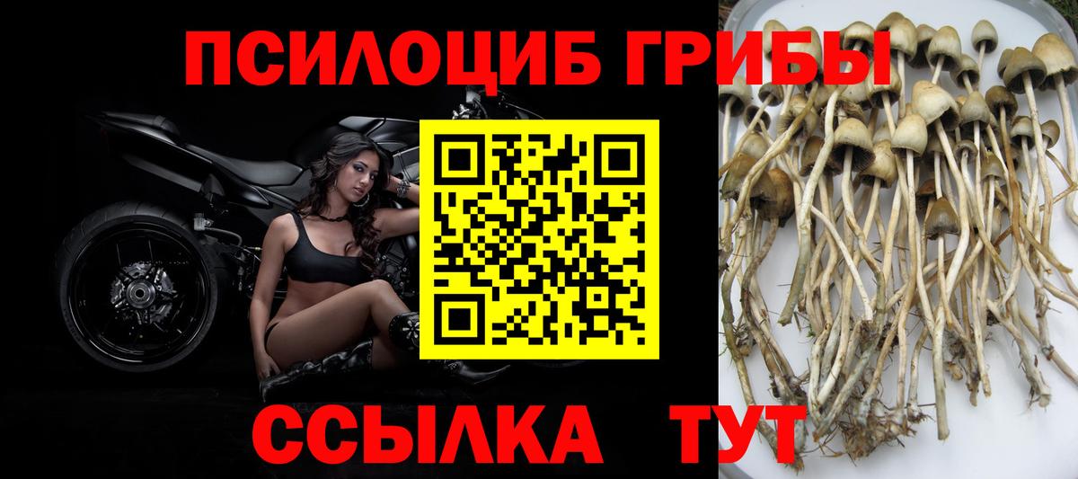 Галлюциногенные грибы ЛСД  Вход с VPN  Алушта 